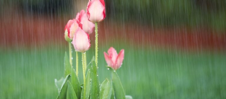 Choose to Look for the Good in Every Situation