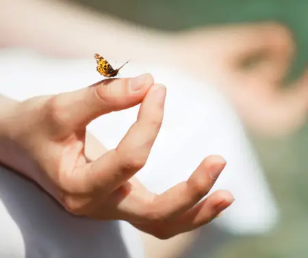 Woman meditating butterfly landed on her hand
